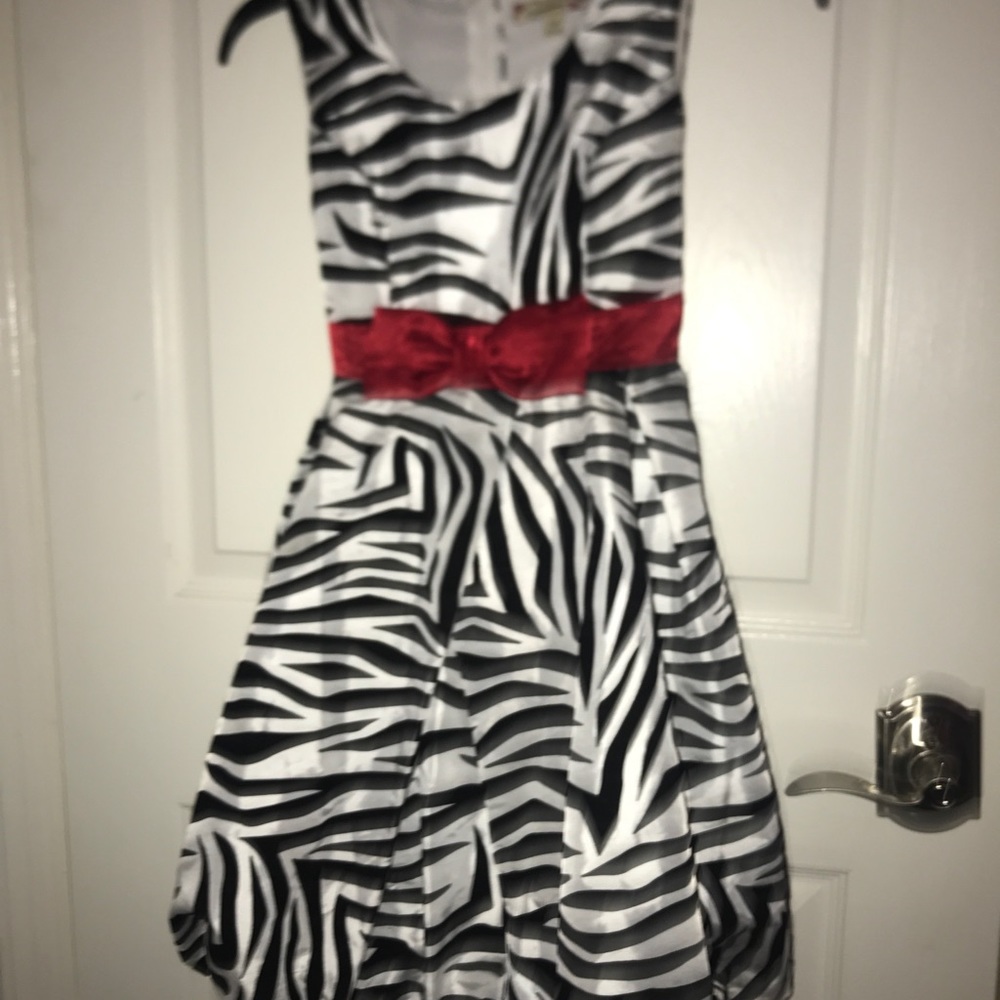 Kids Zebra Print Dress
